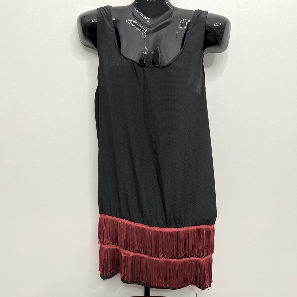 1920s Flapper Dress Novelty Halloween Costume Black with Red fringe trim